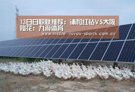 13日日职联推荐：浦和红钻VS大阪樱花：九游体育