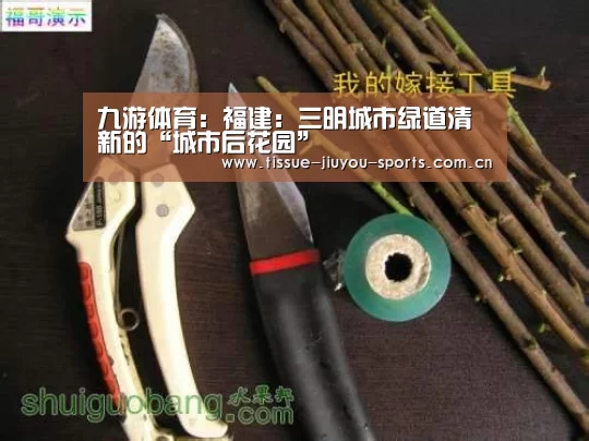 九游体育:福建:三明城市绿道清新的“城市后花园”(图4) 九游体育